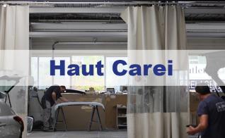 ex_art_Haut_Carei.jpg