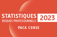 Statistiques2023-web.pdf