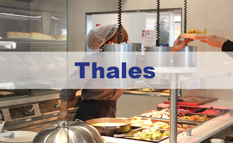 article thales